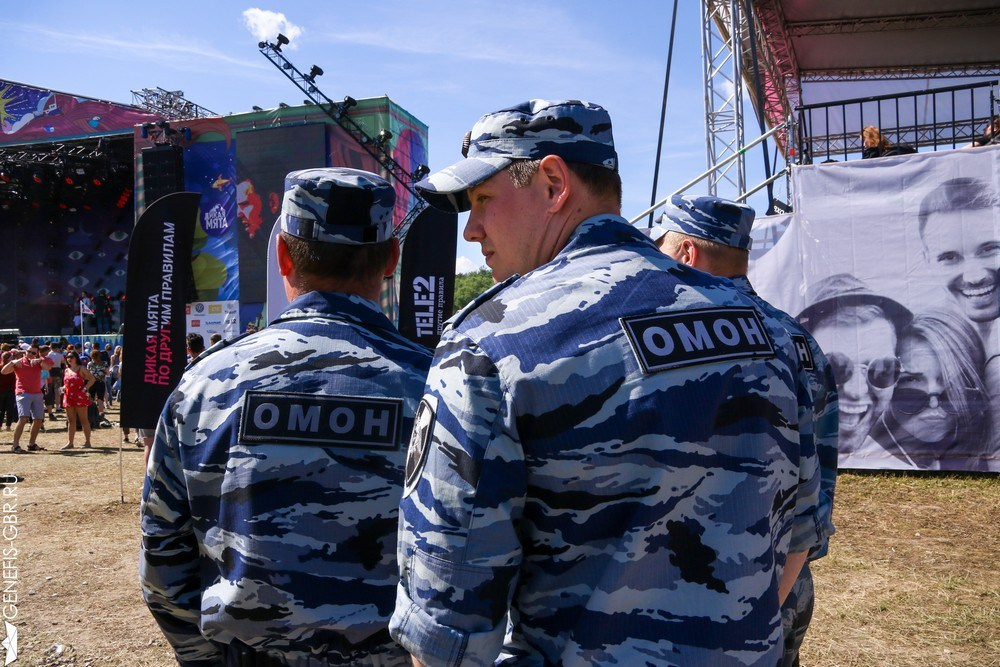 Фестиваль Дикая Мята. Репортажный и интерьерный фотограф Александра Солдатова