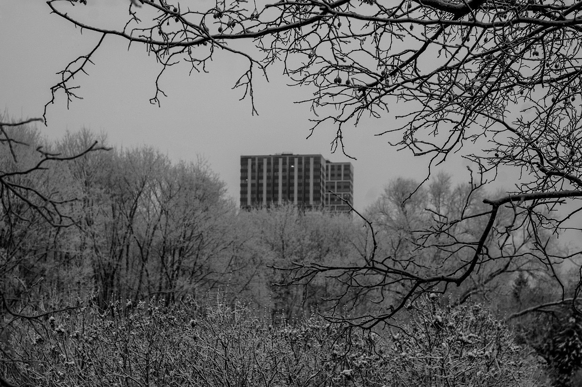 Пейзаж. Портретный фотограф в Москве Михаил Воронцов