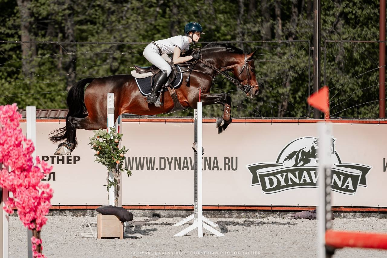 ЛЮБИТЕЛЬСКИЙ КУБОК ВИЦЕ-ПРЕЗИДЕНТА ФКСР О.В.РЕЙМАН. Куракина Дарья • Конный фотограф