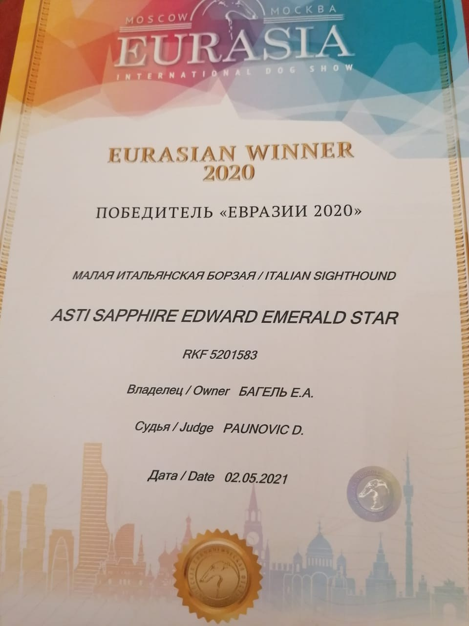 Наш самый звёздный выпускник. Professional Italian Greyhound Kennel RKF/FCI ASTI SAPPHIRE 💎 Sochi|St. Petersburg