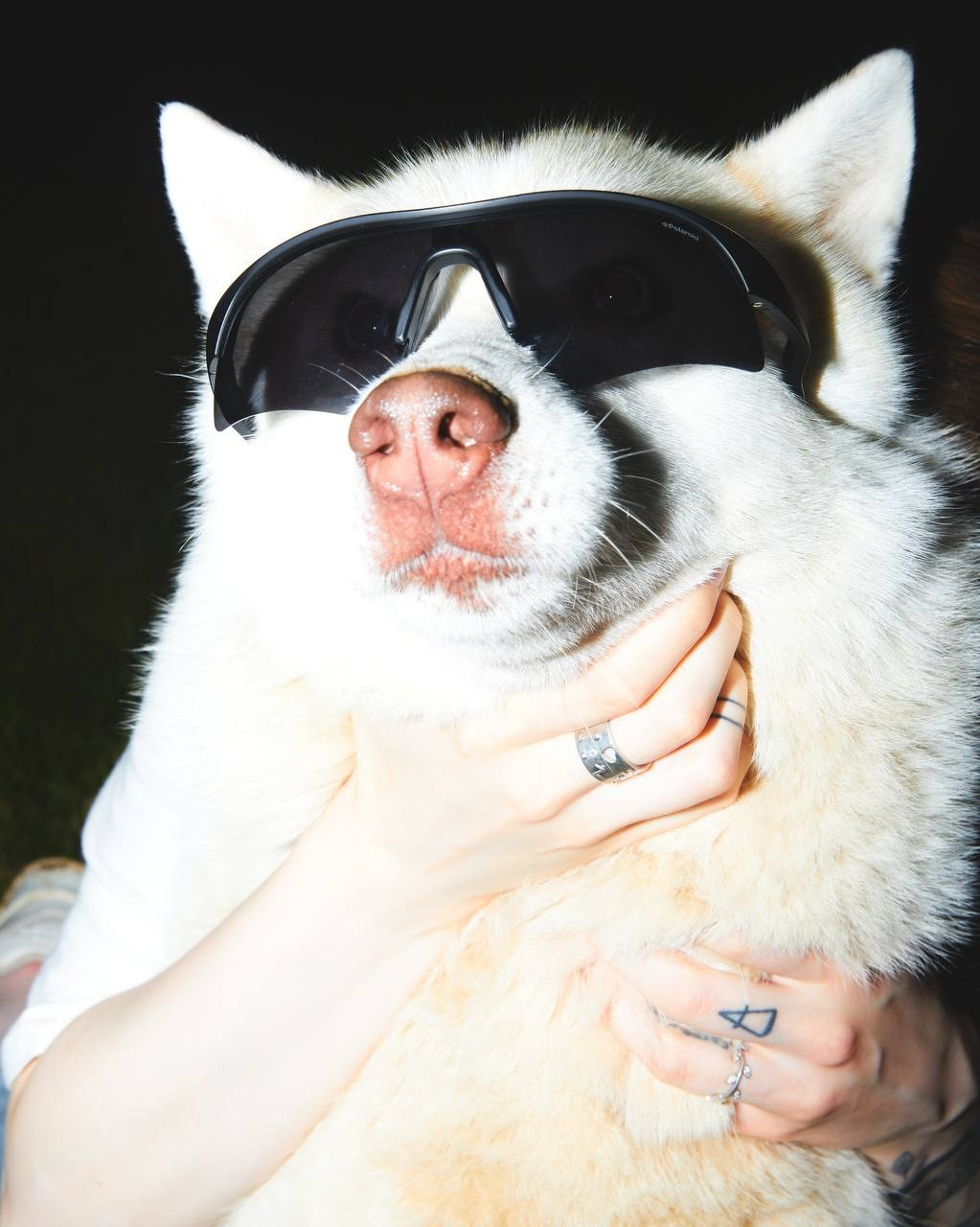 Wedding. Святослав Лебедев | Рекламный фотограф — Коммерческая съемка, Арт-дирекшн, AI-интеграция