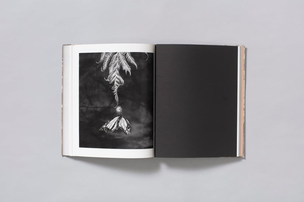 ФОТОКНИГА КАК ДИСЦИПЛИНА: (НЕ) СТРЕМИТЕЛЬНОЕ РАЗВИТИЕ. Самоорганизация Низина