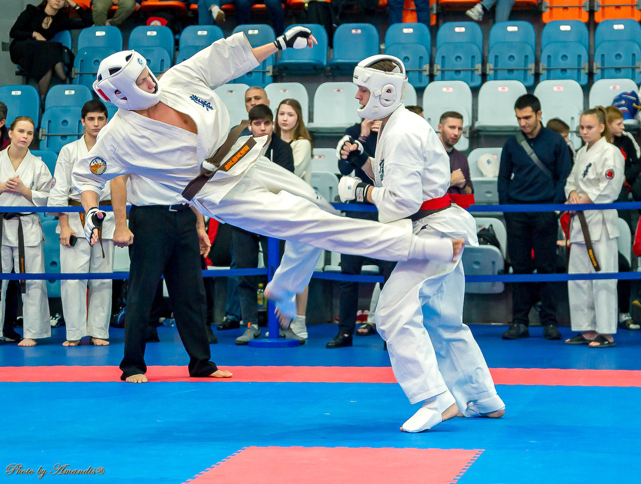 Открытый кубок Seiken (ноябрь 2022) Москва. МЦБИ. Репортажная съемка в Москве и области. Анималистика