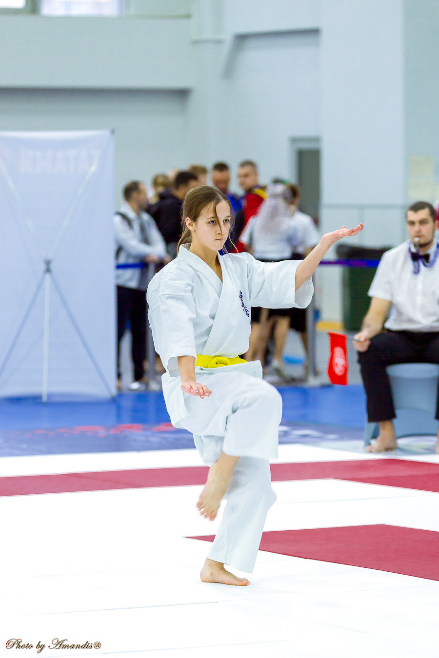 Чемпионат России по Киокушинкай (ноябрь 2022). Репортажная съемка в Москве и области. Анималистика