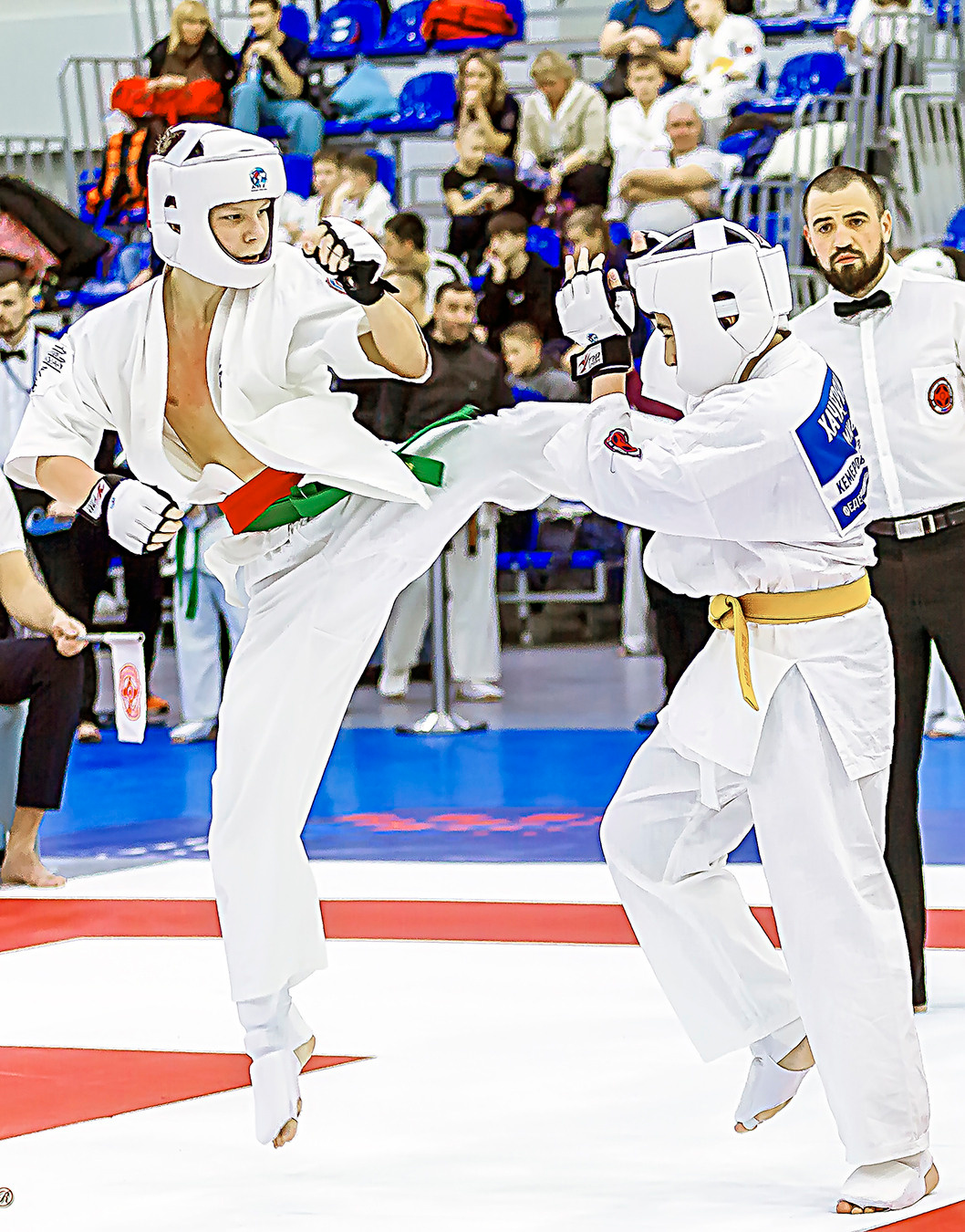 Чемпионат России по Киокушинкай (ноябрь 2022). Репортажная съемка в Москве и области. Анималистика