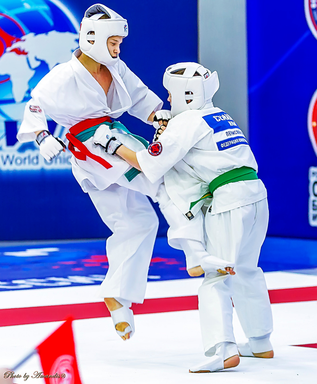 Чемпионат России по Киокушинкай (ноябрь 2022). Репортажная съемка в Москве и области. Анималистика