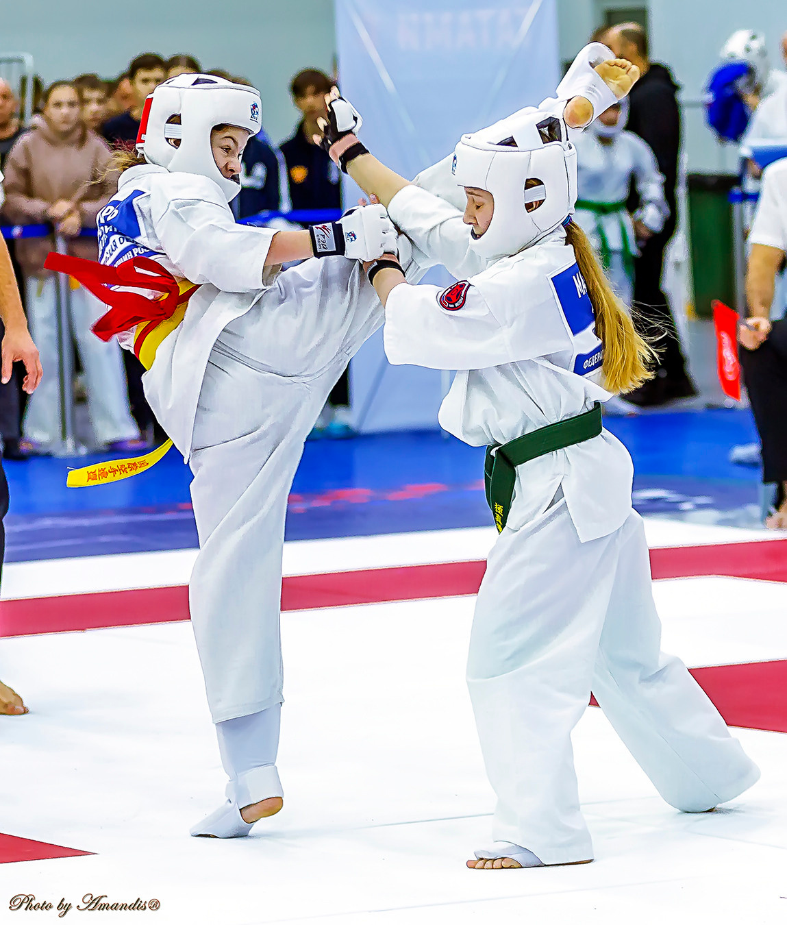 Чемпионат России по Киокушинкай (ноябрь 2022). Репортажная съемка в Москве и области. Анималистика