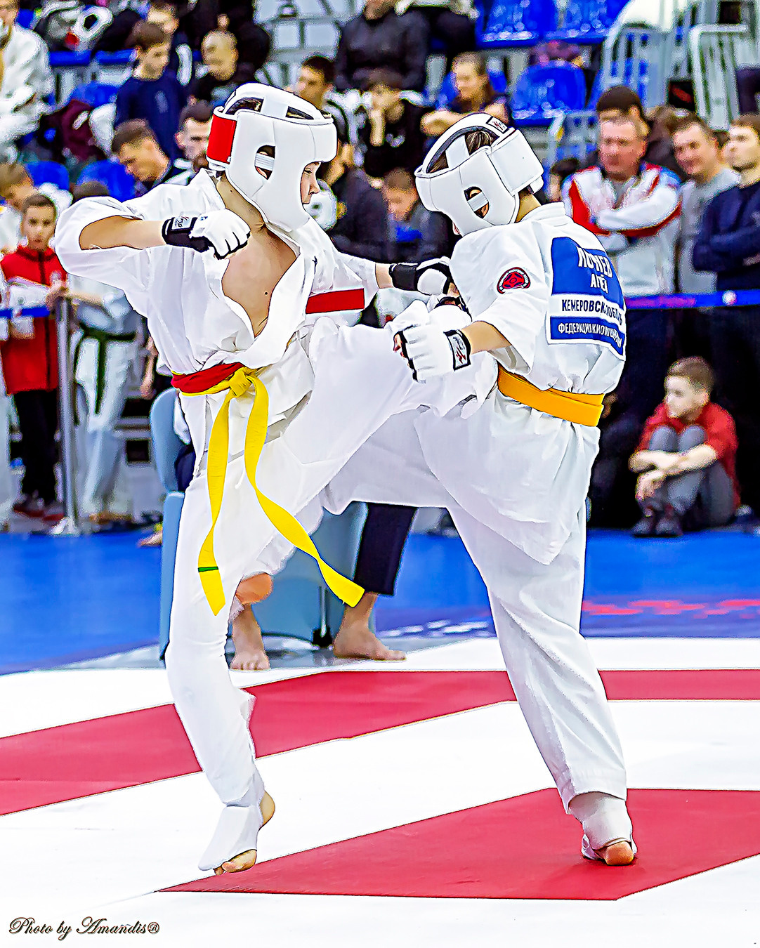 Чемпионат России по Киокушинкай (ноябрь 2022). Репортажная съемка в Москве и области. Анималистика
