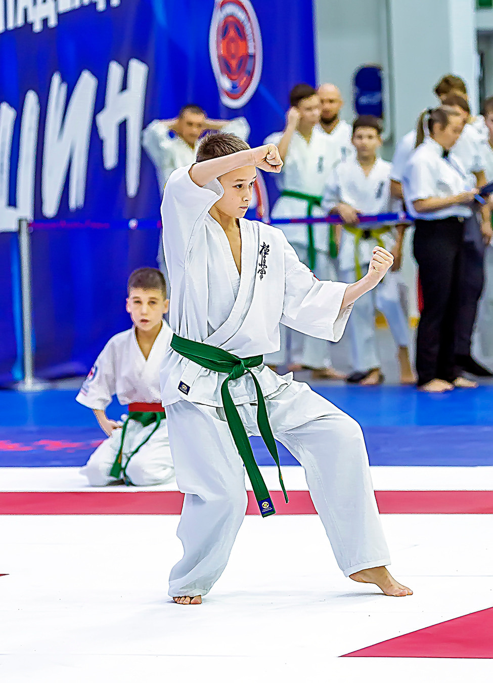 Чемпионат России по Киокушинкай (ноябрь 2022). Репортажная съемка в Москве и области. Анималистика