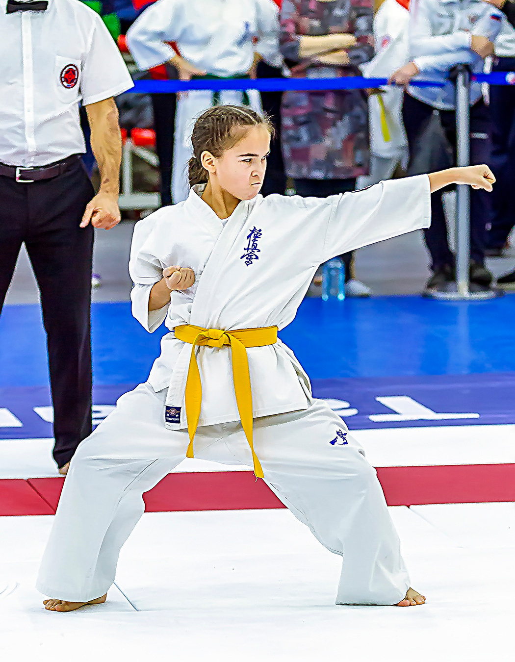 Чемпионат России по Киокушинкай (ноябрь 2022). Репортажная съемка в Москве и области. Анималистика