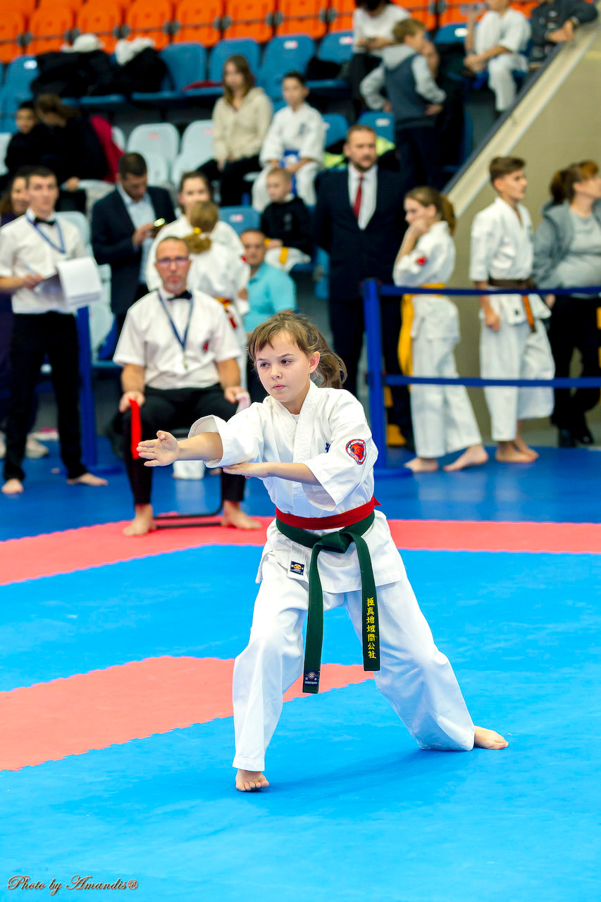 Открытый кубок Seiken (ноябрь 2022) Москва. МЦБИ. Репортажная съемка в Москве и области. Анималистика