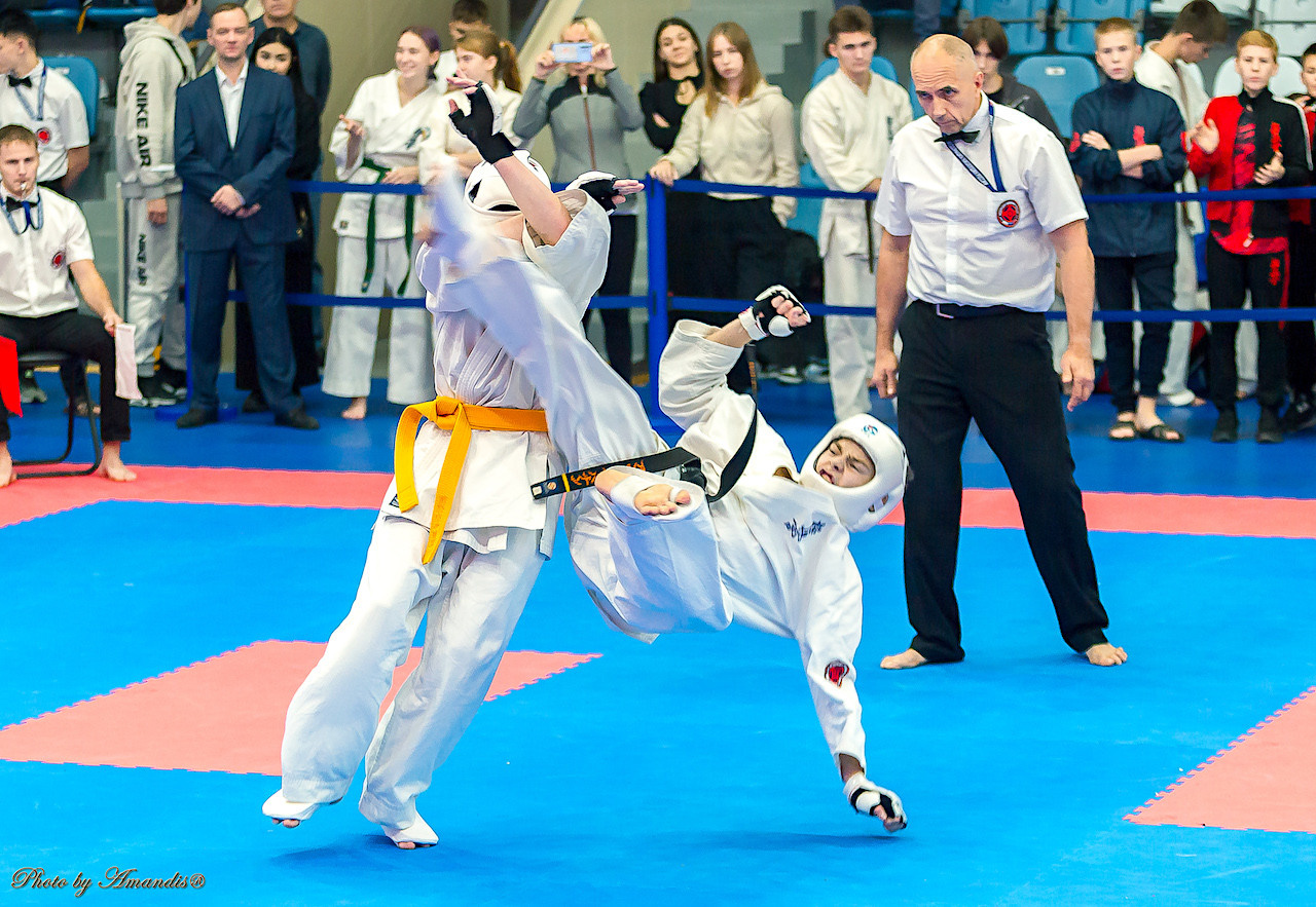 Открытый кубок Seiken (ноябрь 2022) Москва. МЦБИ. Репортажная съемка в Москве и области. Анималистика