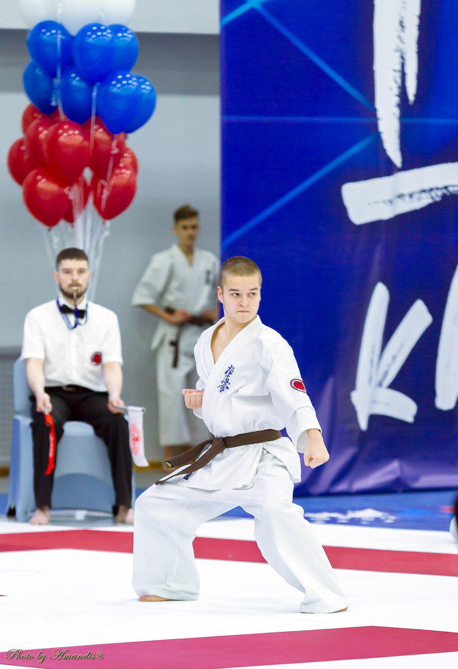 Чемпионат России по Киокушинкай (ноябрь 2022). Репортажная съемка в Москве и области. Анималистика