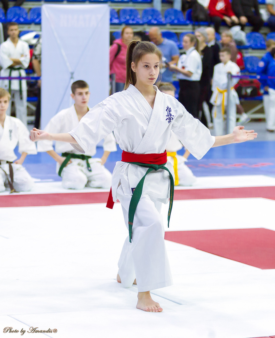 Чемпионат России по Киокушинкай (ноябрь 2022). Репортажная съемка в Москве и области. Анималистика