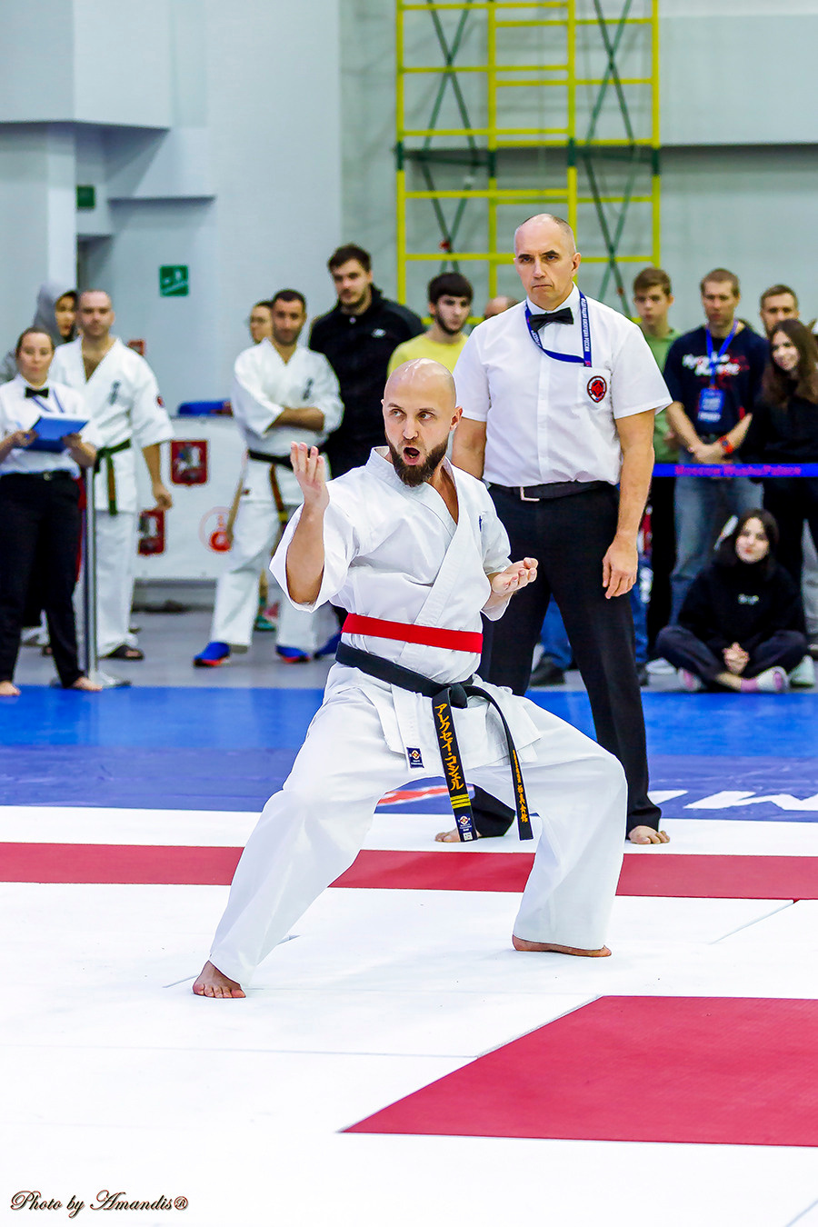 Чемпионат России по Киокушинкай (ноябрь 2022). Репортажная съемка в Москве и области. Анималистика