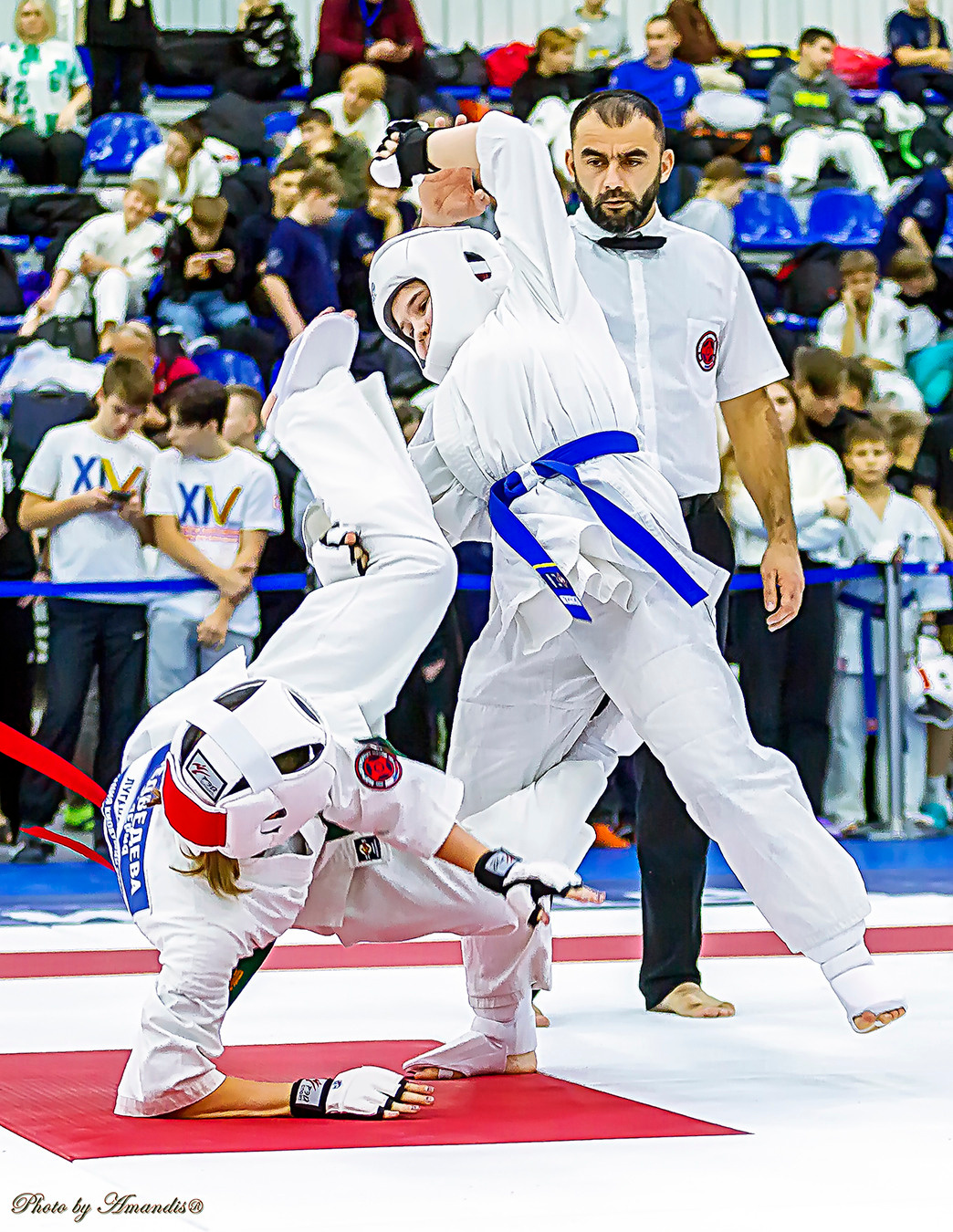 Чемпионат России по Киокушинкай (ноябрь 2022). Репортажная съемка в Москве и области. Анималистика