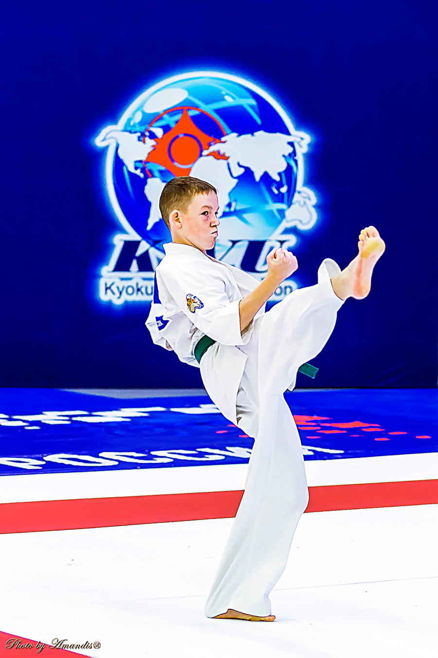 Чемпионат России по Киокушинкай (ноябрь 2022). Репортажная съемка в Москве и области. Анималистика