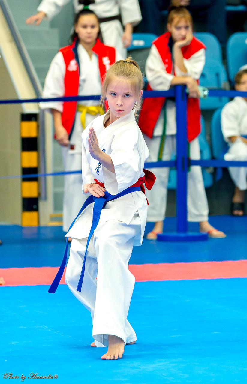 Открытый кубок Seiken (ноябрь 2022) Москва. МЦБИ. Репортажная съемка в Москве и области. Анималистика