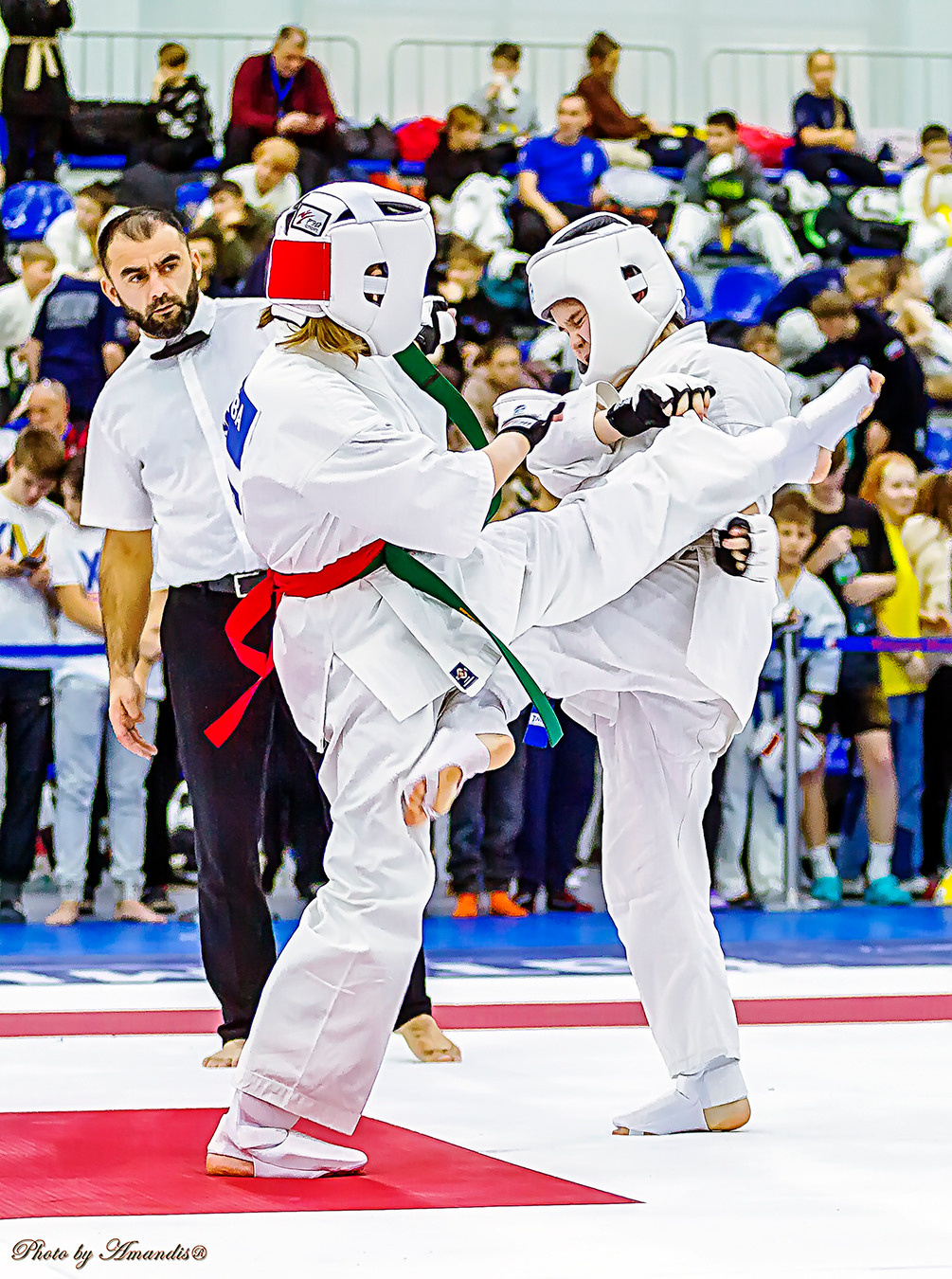 Чемпионат России по Киокушинкай (ноябрь 2022). Репортажная съемка в Москве и области. Анималистика