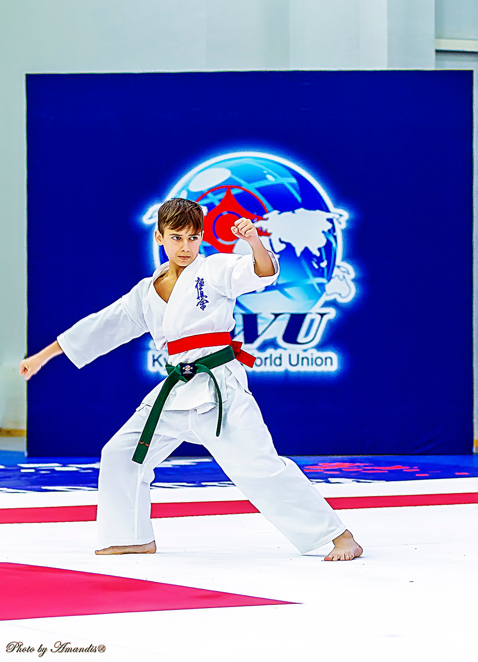 Чемпионат России по Киокушинкай (ноябрь 2022). Репортажная съемка в Москве и области. Анималистика