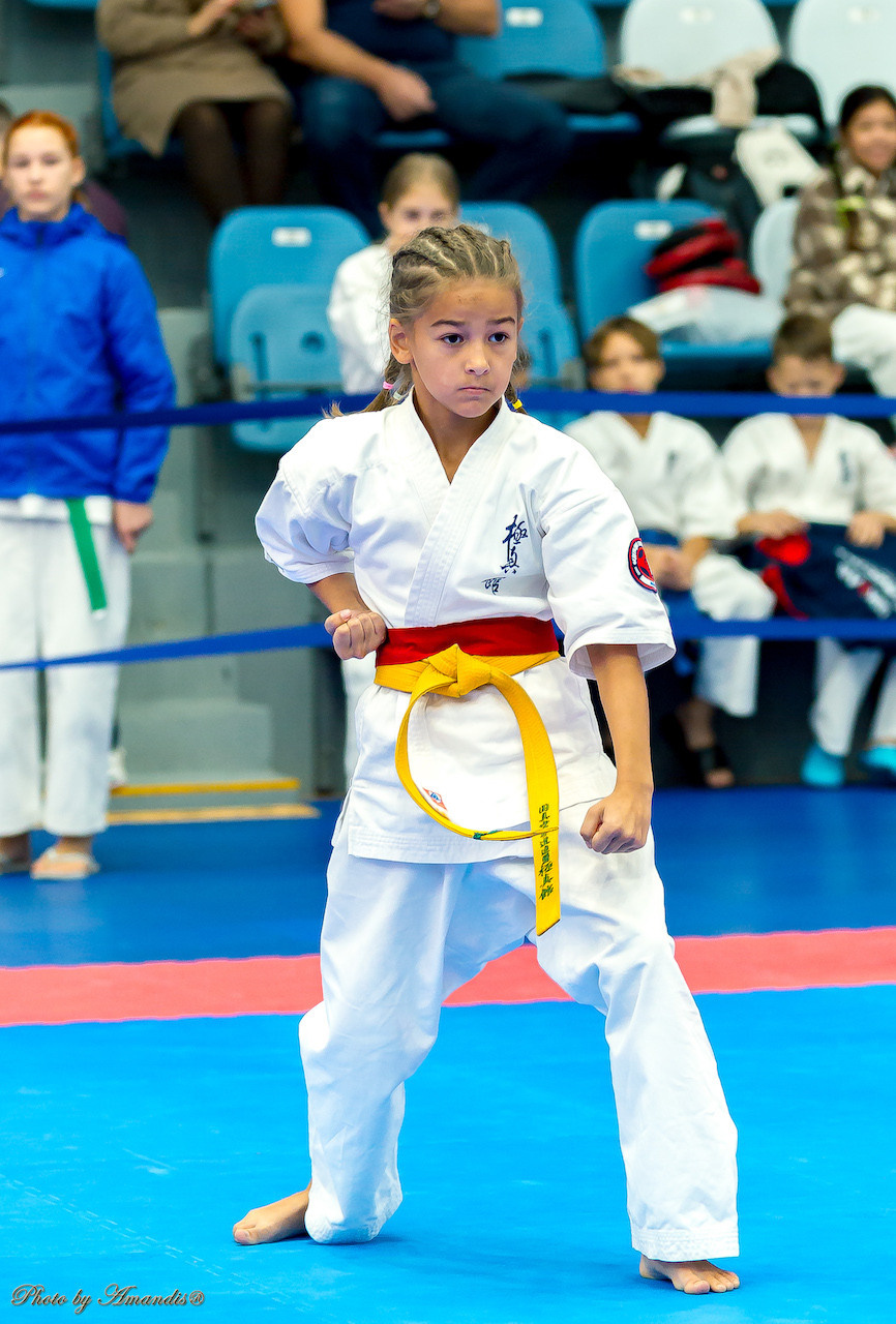 Открытый кубок Seiken (ноябрь 2022) Москва. МЦБИ. Репортажная съемка в Москве и области. Анималистика