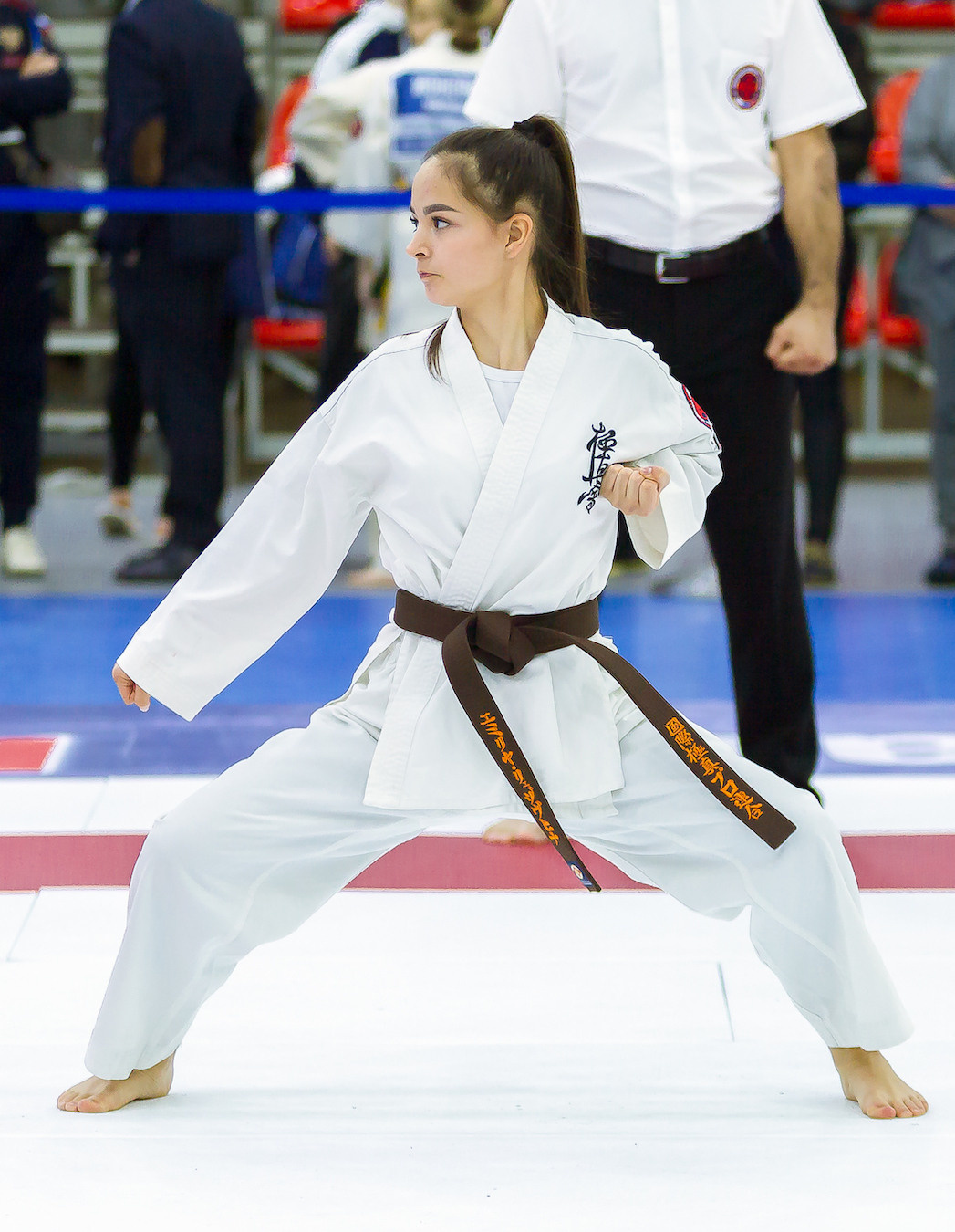 Чемпионат России по Киокушинкай (ноябрь 2022). Репортажная съемка в Москве и области. Анималистика