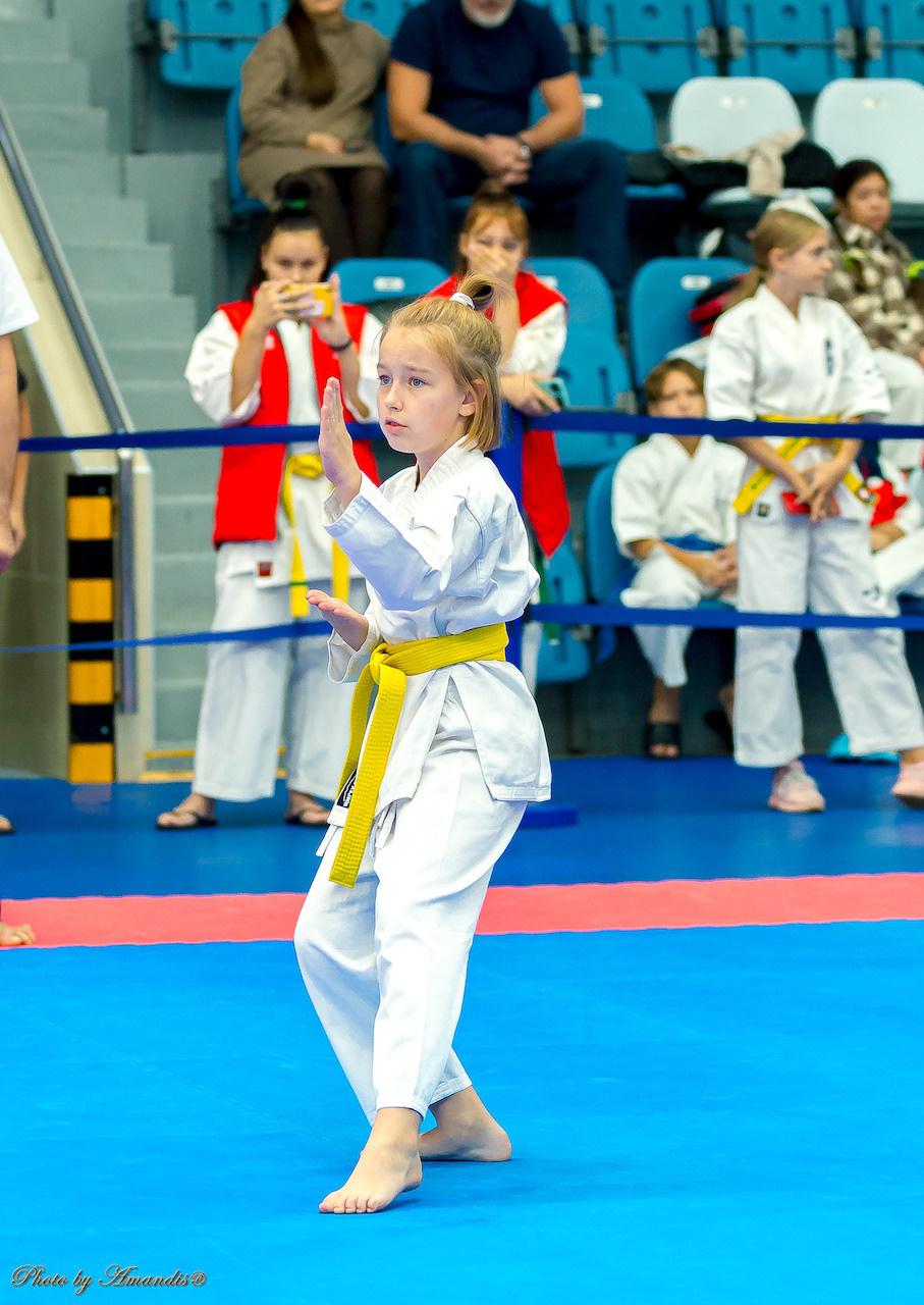 Открытый кубок Seiken (ноябрь 2022) Москва. МЦБИ. Репортажная съемка в Москве и области. Анималистика