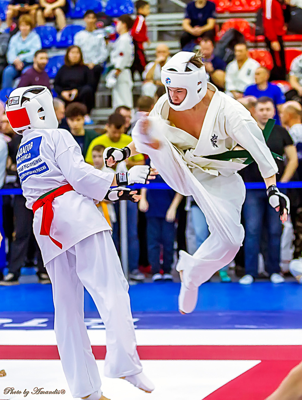 Чемпионат России по Киокушинкай (ноябрь 2022). Репортажная съемка в Москве и области. Анималистика