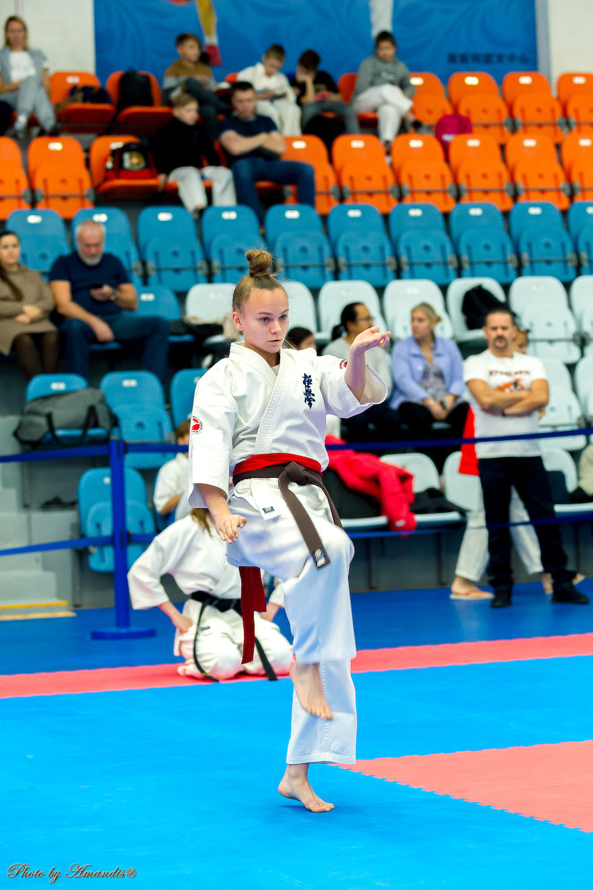 Открытый кубок Seiken (ноябрь 2022) Москва. МЦБИ. Репортажная съемка в Москве и области. Анималистика