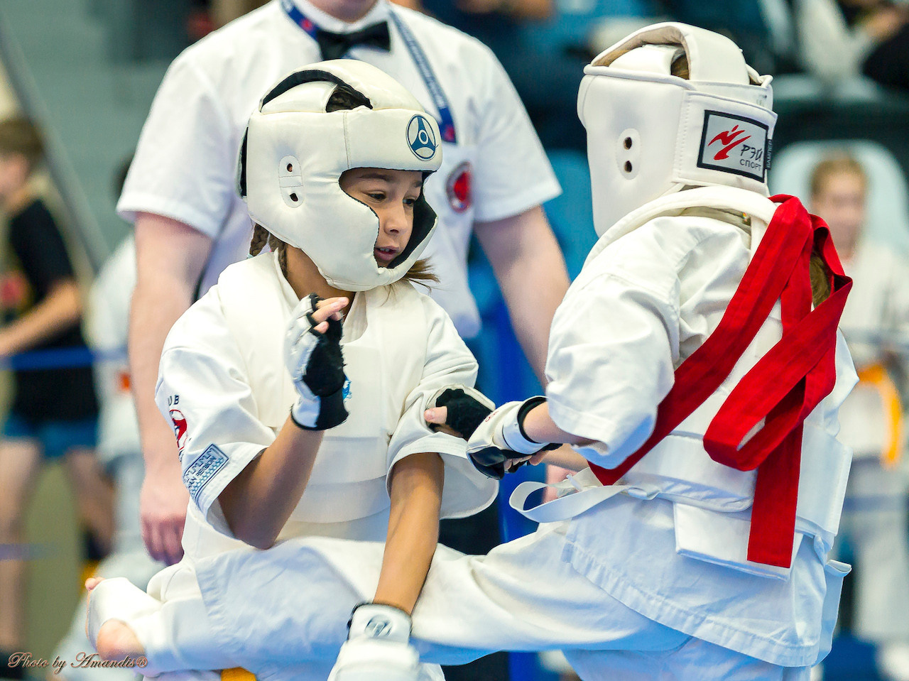Открытый кубок Seiken (ноябрь 2022) Москва. МЦБИ. Репортажная съемка в Москве и области. Анималистика