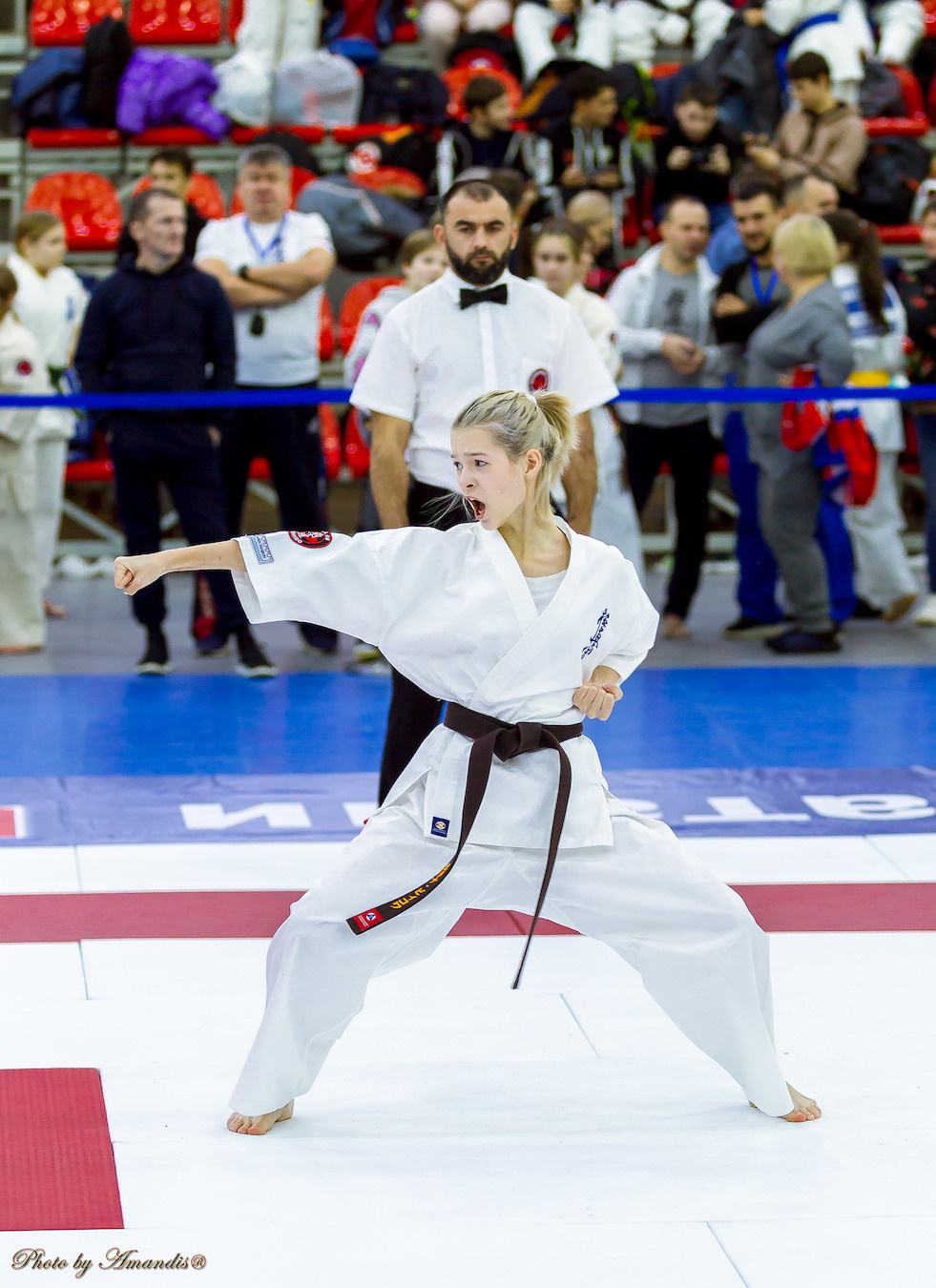 Чемпионат России по Киокушинкай (ноябрь 2022). Репортажная съемка в Москве и области. Анималистика