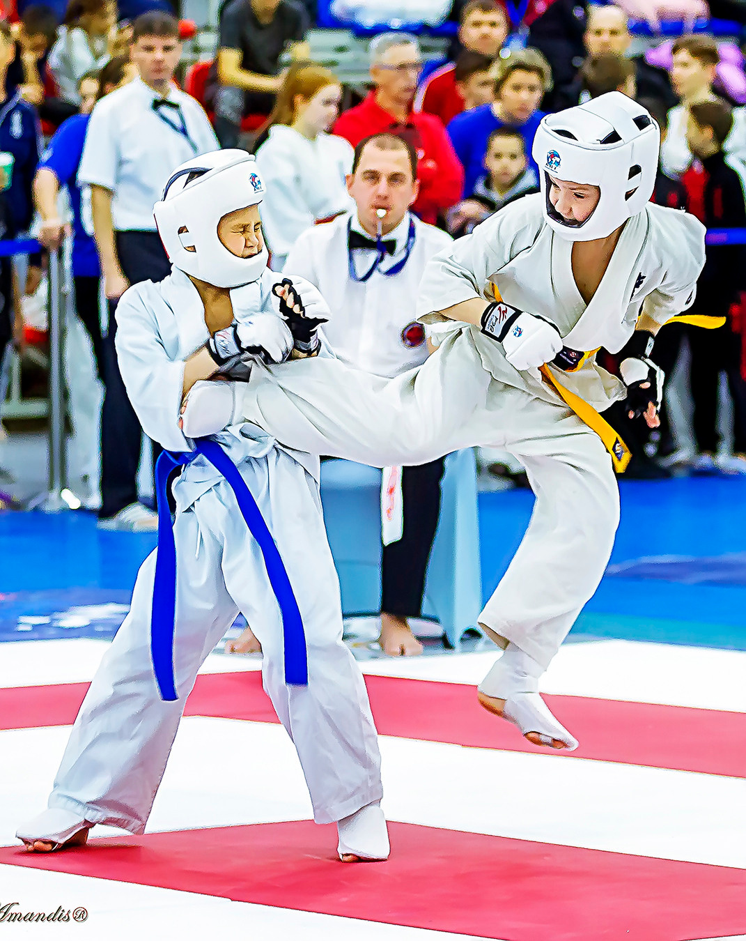 Чемпионат России по Киокушинкай (ноябрь 2022). Репортажная съемка в Москве и области. Анималистика