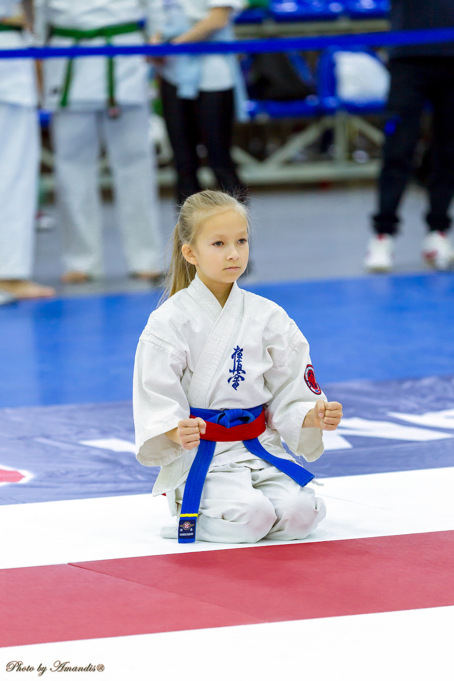 Чемпионат России по Киокушинкай (ноябрь 2022). Репортажная съемка в Москве и области. Анималистика