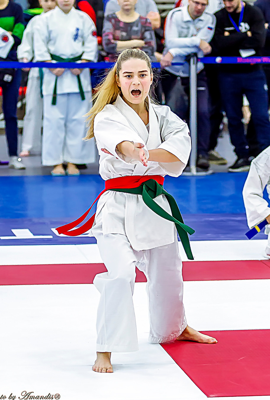 Чемпионат России по Киокушинкай (ноябрь 2022). Репортажная съемка в Москве и области. Анималистика