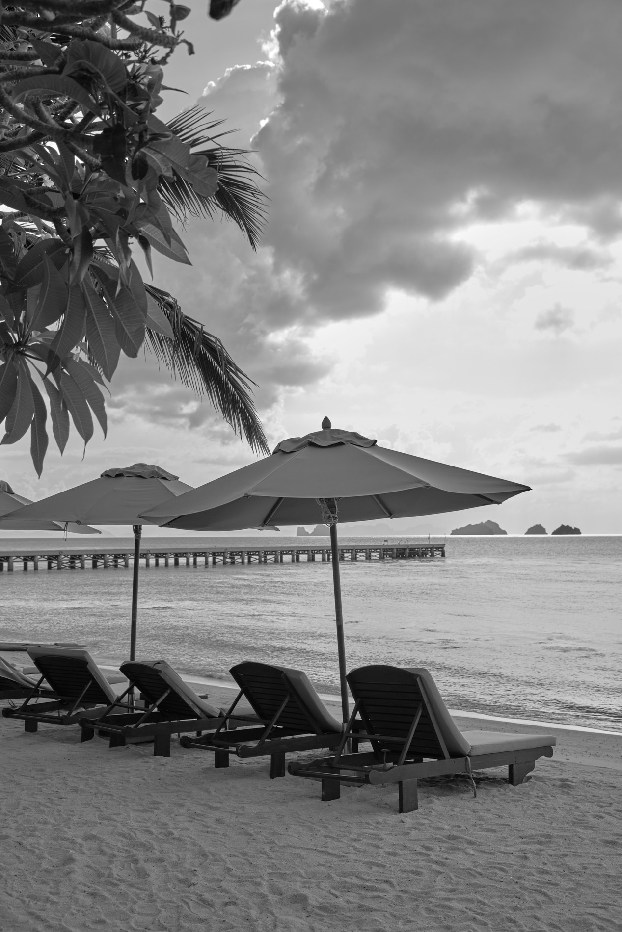 PORTRAITS. Photographer Monaco, Nice, French Riviera