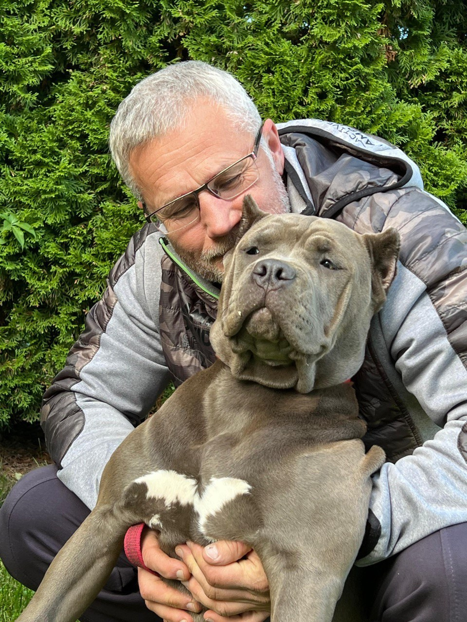 UPB’s Queenie & Zeus. 16.04.24. Американские булли XL в г. Калининград. Питомник Great Bully UNIVERSE