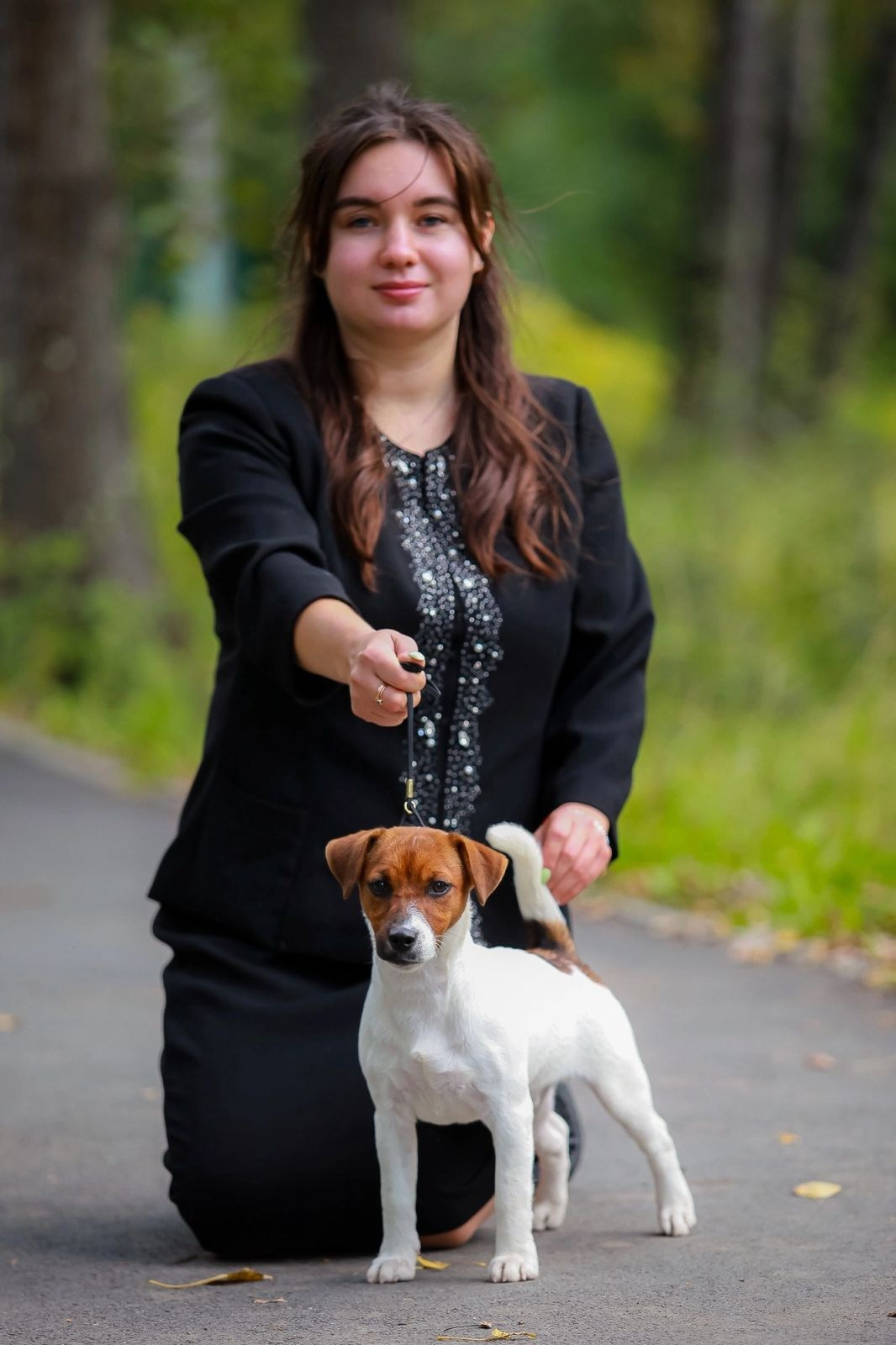 Джек рассел отзывы владельцев и покупателей щенков. CANE MAESTRO — kennel Jack Russell Terrier