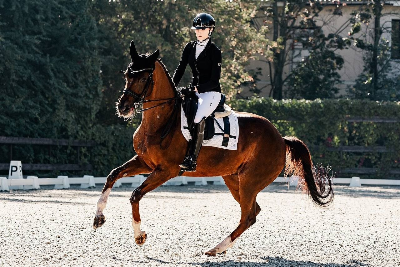 КУБОК ПАМЯТИ ИРИНЫ ЛЬВОВНЫ ЗУЙКОВОЙ ПО ВЫЕЗДКЕ в КСК «БЕЛАЯ ДАЧА». Конный фотограф Куракина Дарья • Фотосессии с лошадьми