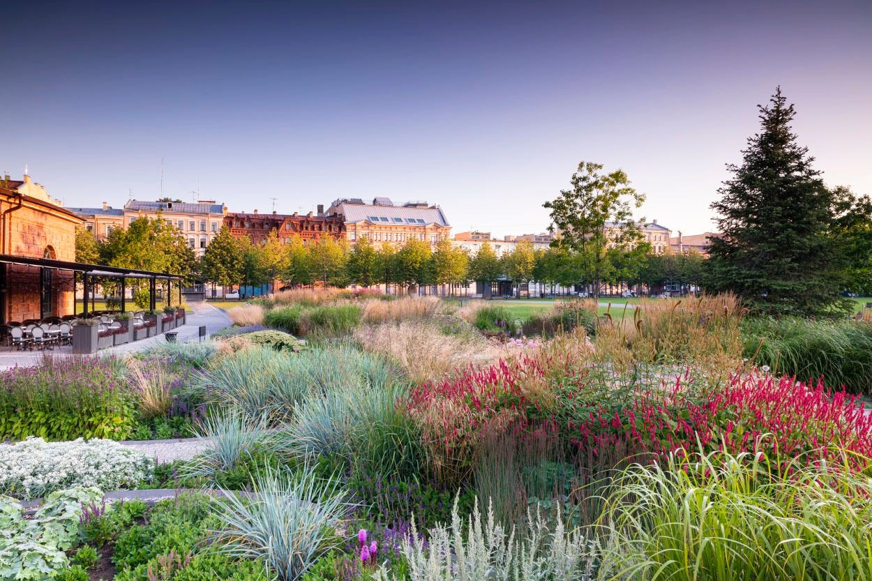 нью голландия спб