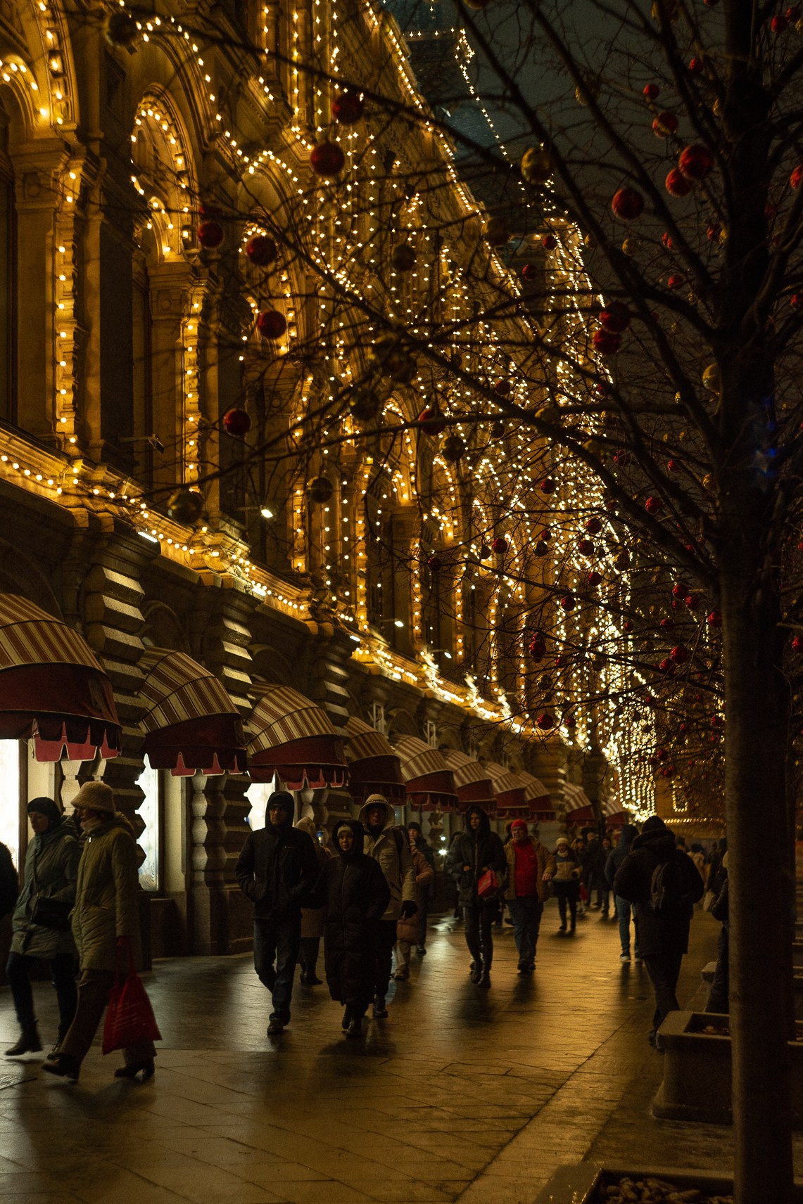 Москва. Ноябрь. 2024. Фотограф в Сочи Елена Лисотина. Фототуры в Сочи