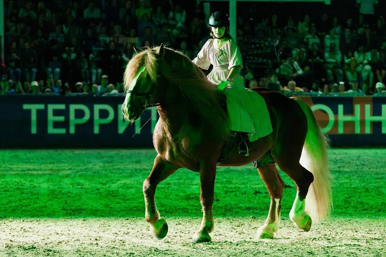 Иваново Поле — 2025. Куракина Дарья • Конный фотограф