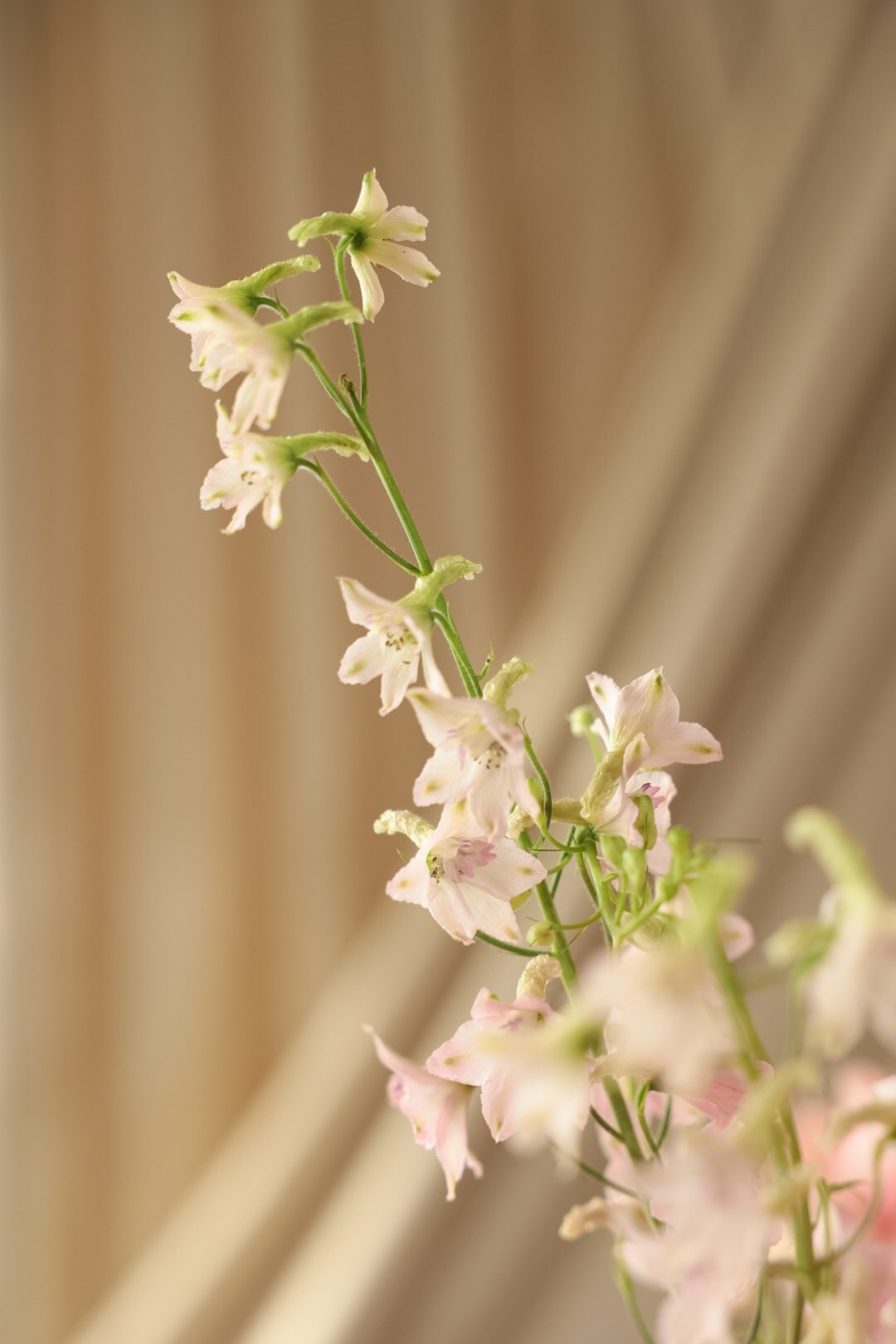 Максим и Настя. Фотограф Нижний Новгород