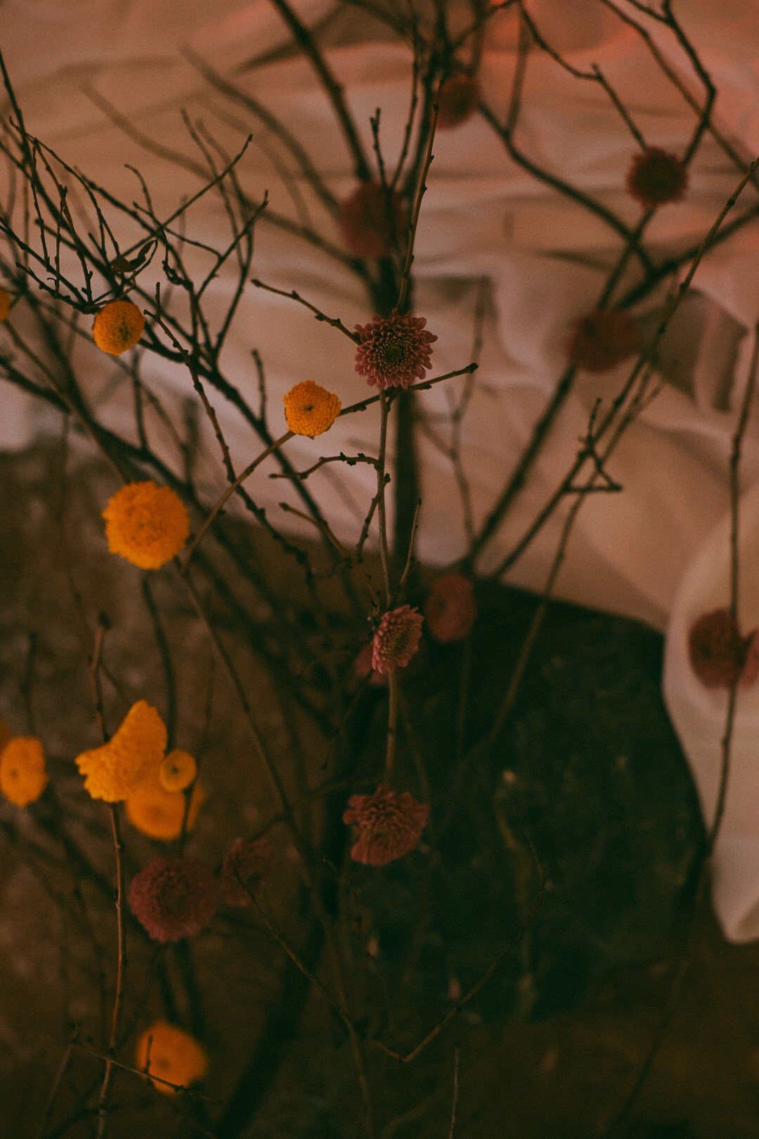 22 zima. Фотограф Нижний Новгород