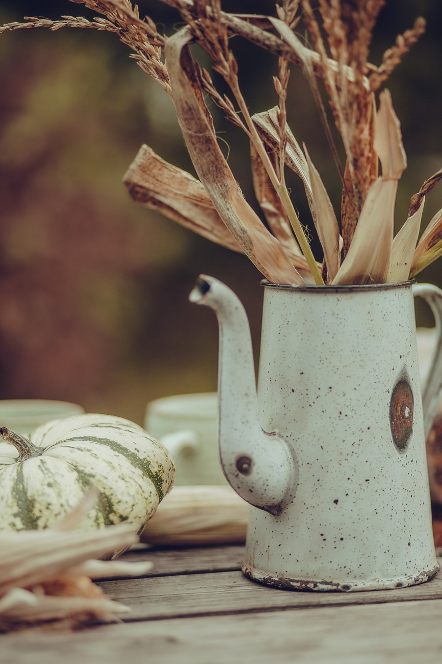 ЛИЗА И ЕЛИСЕЙ. Фотограф Дарья Хрипач