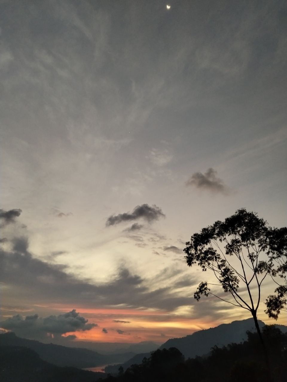 Шри-Ланка | 31.01 — 10.02.2025. Галерея Фантим