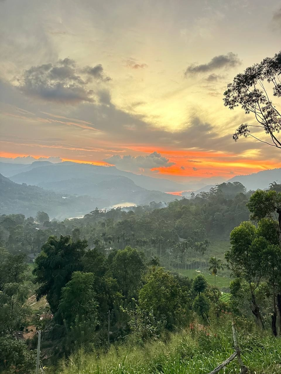 Шри-Ланка | 31.01 — 10.02.2025. Галерея Фантим