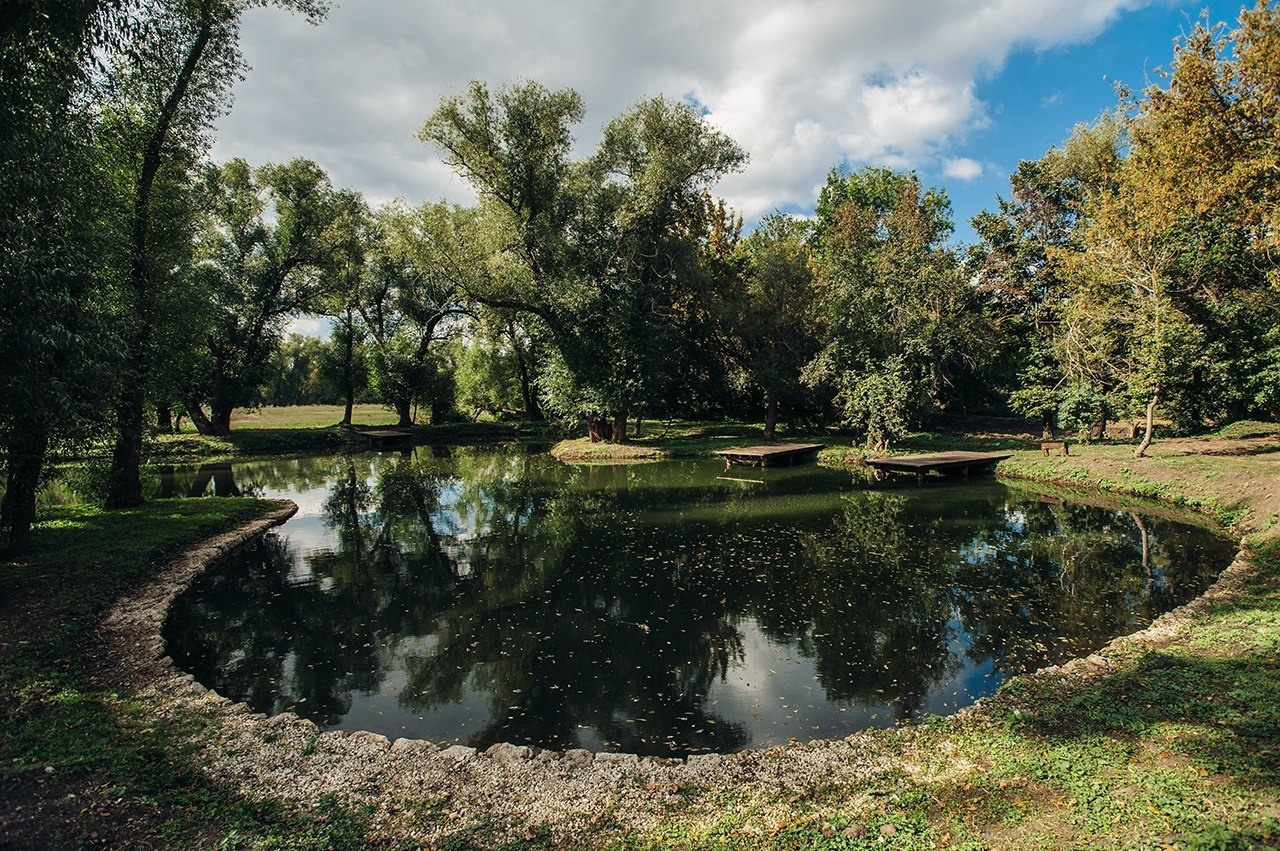 Список мест для проведения банкета в Липецке. Свадебный и семейный фотограф в Липецке Натали Бриз