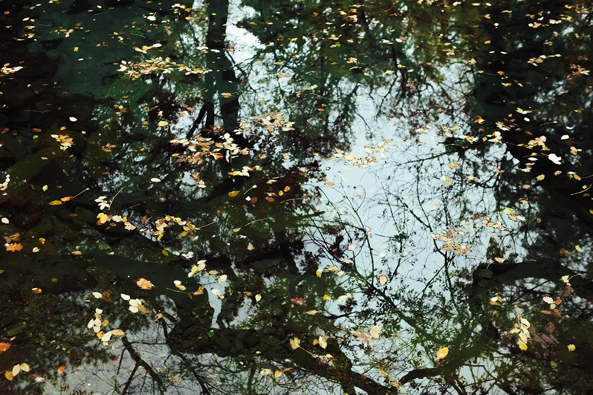 Осенняя прогулка. Семен Соколов