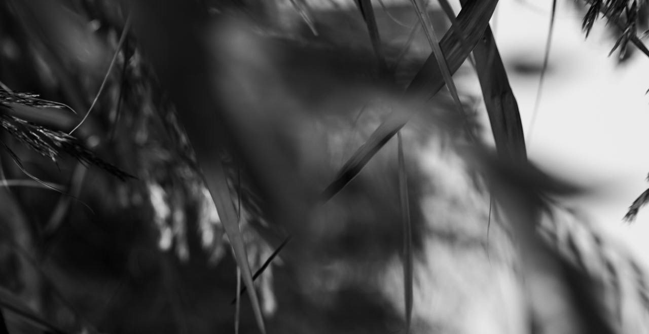 Northerndaria Фотограф & Видеограф