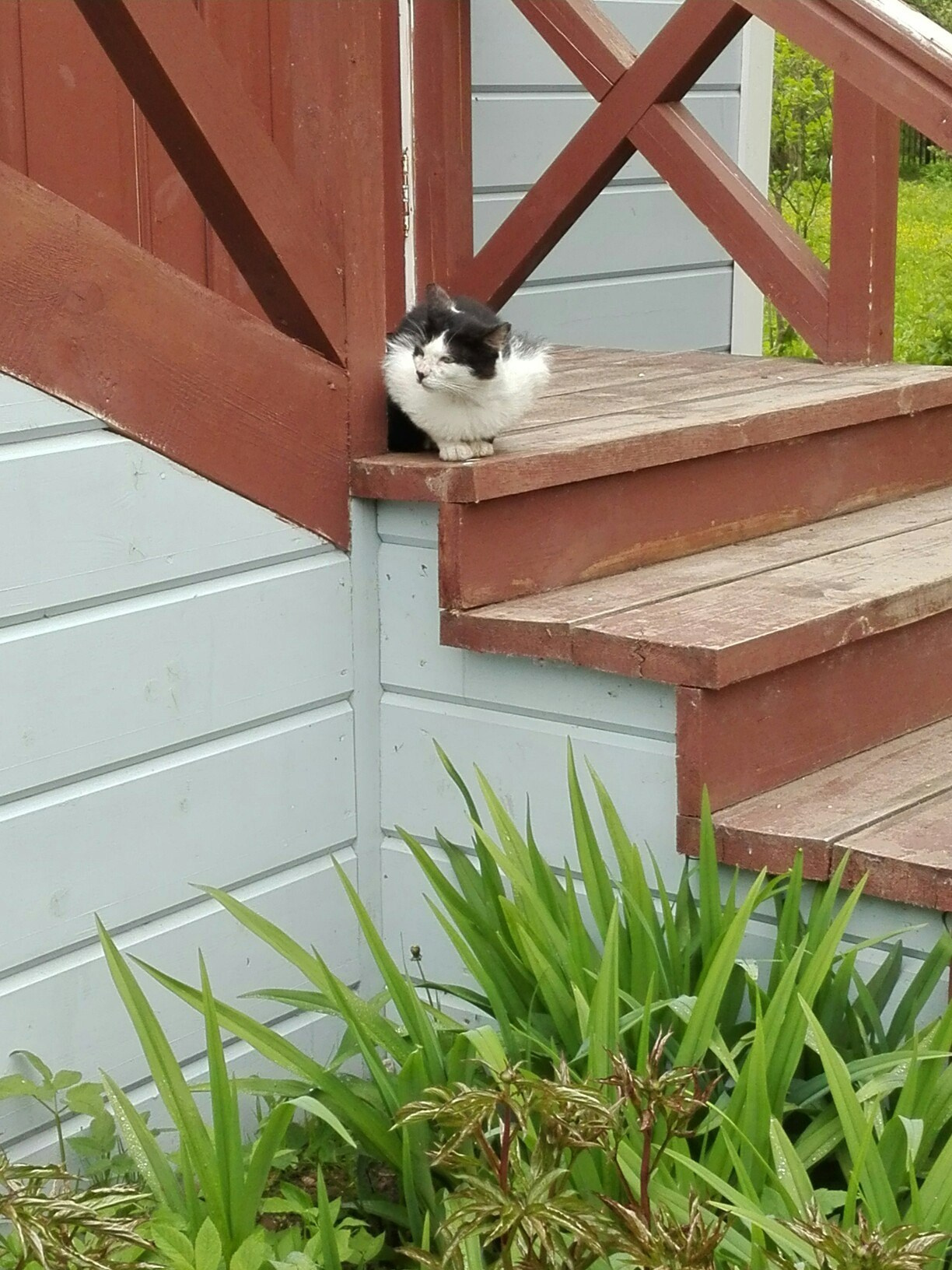 Мелихово | 21.05.2017. Галерея Фантим